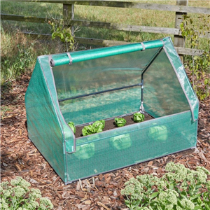 GroZone Max Gro Cloche